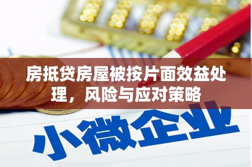 集美房抵贷房屋被按片面效益处理，风险与应对策略